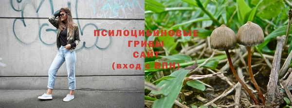 прущие крисы Балабаново
