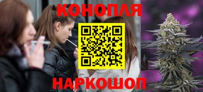 jwh Кингисепп