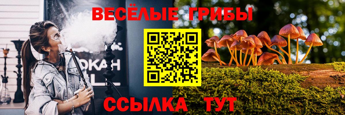 Псилоцибиновые грибы Psilocybine cubensis Обь