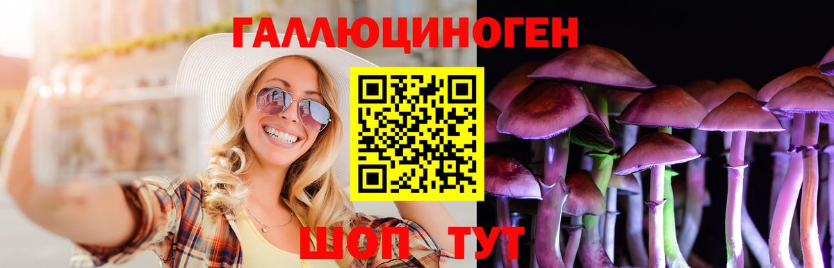 Обь  Псилоцибиновые грибы Magic Shrooms  Вход с VPN 